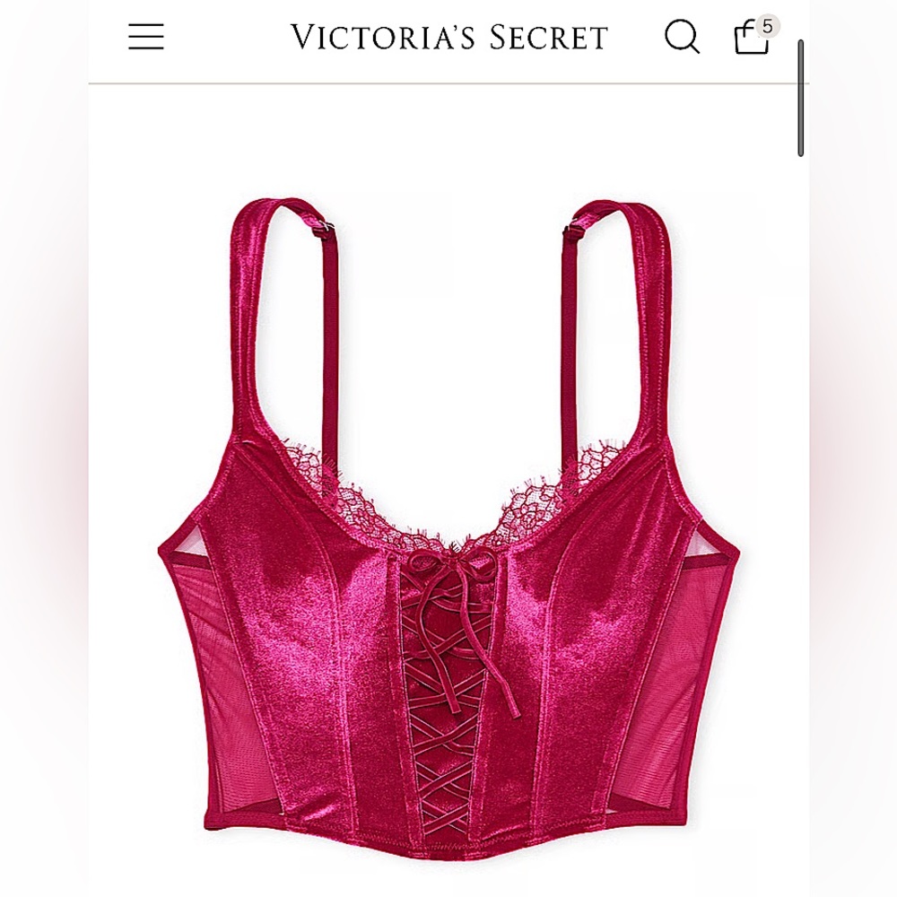 VS Dream Angels pink velvet corset bustier top NWT Small